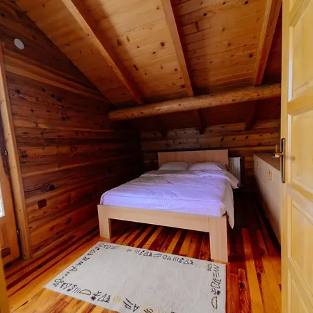 Pine Valley House Дом отдыха Златибор