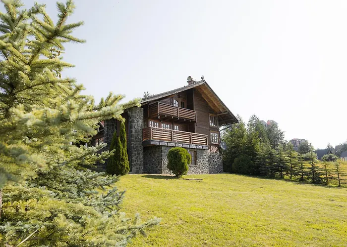 Дом отдыха Pine Valley House Златибор